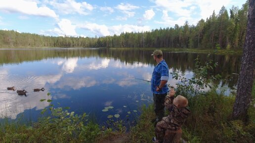 РЫБАЧИЛИ В ЛЕСУ И ТУТ ПРИПЛЫЛИ ОНИ. РЫБАЛКА В ТАЙГЕ. РЫБАЛКА НА СЕВЕРЕ КАРЕЛИИ. ОБАЛДЕННЫЙ ВЫЕЗД НА ПРИРОДУ.