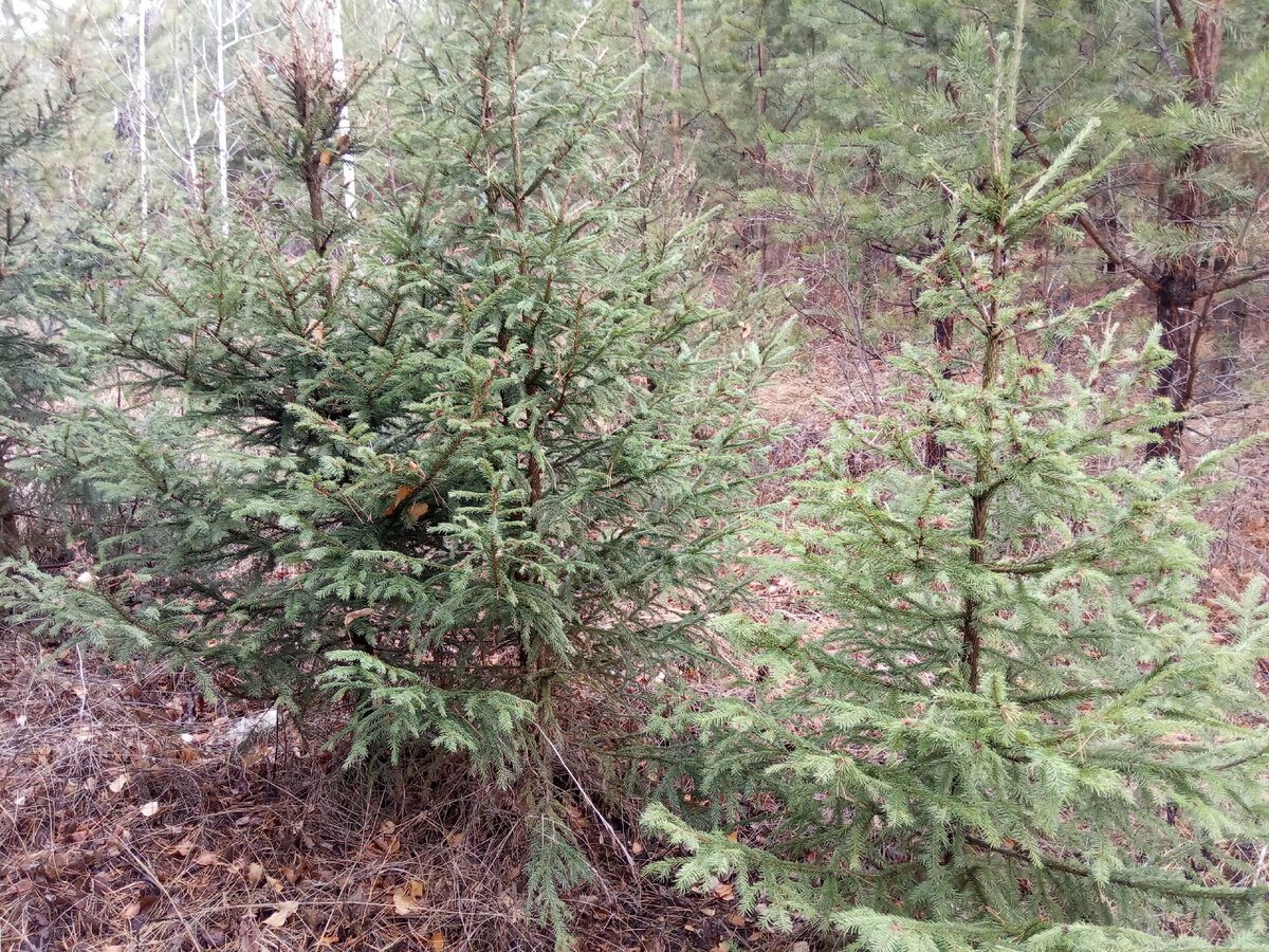 Фото из личного архива автора