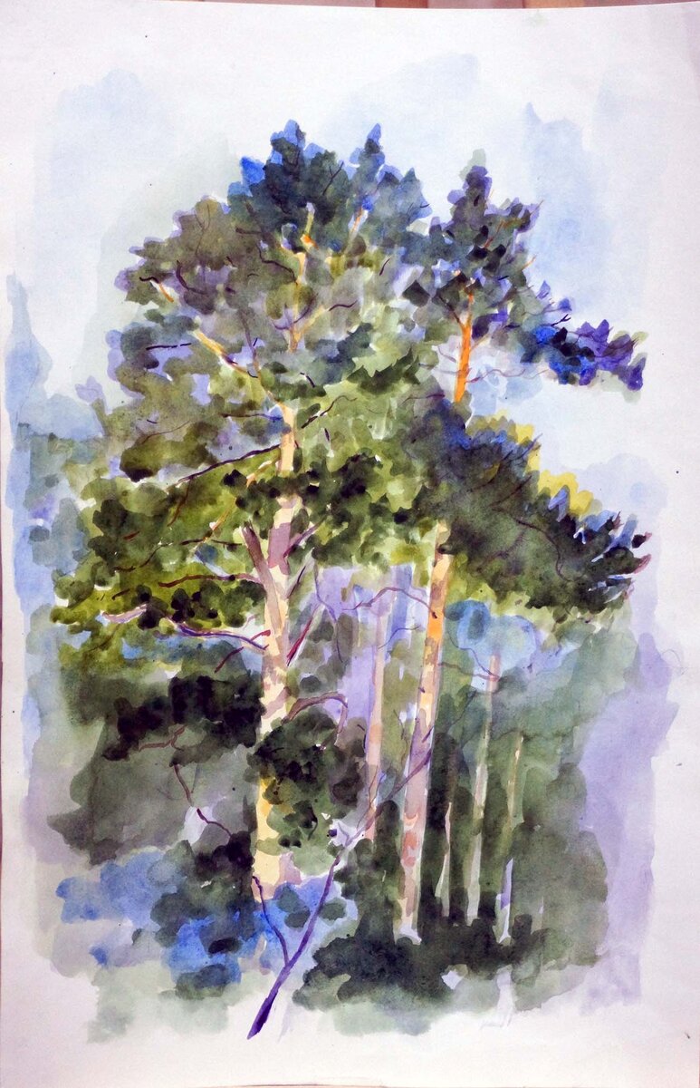 Булдаков Филипп Сосны 44х33 бумага акварель 2021 г  Ваганов Георгий Каньон река Исеть 50х60 хкм 2016 г - 100 000 аукцион новогодний21