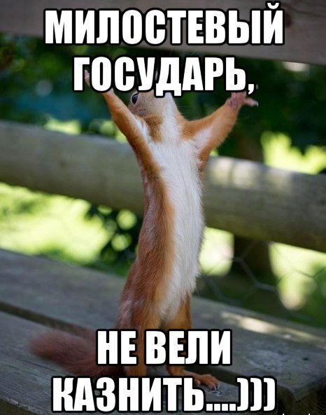 фото яндекс-картинки