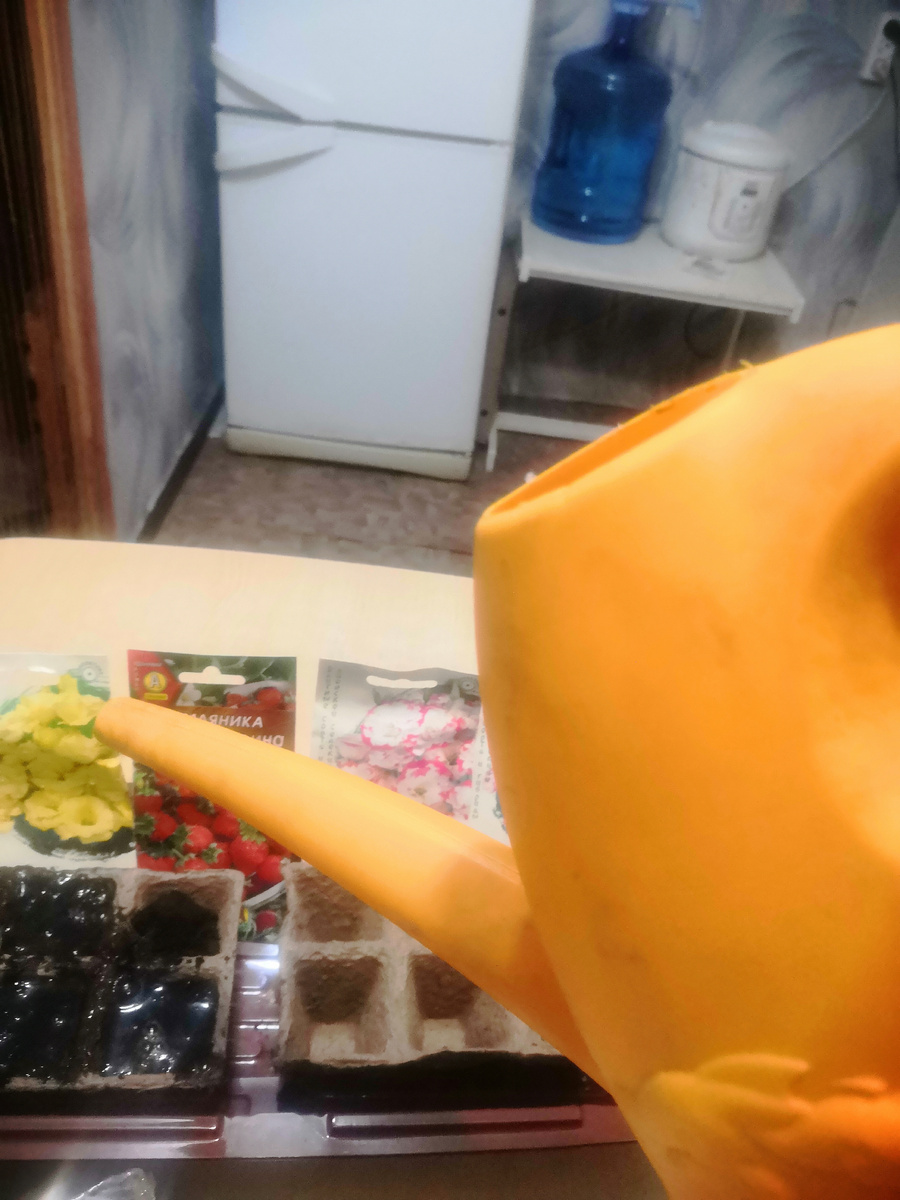 Большинство садоводов приспособилось садить рассаду до 14 марта, а не в конце февраля. Местные специалисты убедили, что февральская рассада «хрупкая и вытягивается в рост». Многие, устав от вынужденного зимнего бездействия, начинают грезить об огородных хлопотах. Садоводы полны радостных предвкушений, которые начинаются обычно с покупки семян.  Кто-то предпочитает свои семена, а кто-то покупные. Нередко случается, что, открыв пакетик и посадив, не видишь ожидаемое. То семян меньше положили, чем написано на упаковке, а то и вовсе проросло, да не то. Пообщавшись с некоторыми садоводами, удалось выяснить какие семена лучше и как садить рассаду разными способами.   
Считается, что  посадки лучше использовать семена ведущих агрофирм «Аэлита», «Гавриш», «Седек», «Сибирский сад», «Плант».   Семенам помидор троичане отдают предпочтение  сортам «Скороспелый», «Волгоградский», особо ценным считаются «Яблочные», вес плодов которых достигает до килограмма. Популярными, среди семян огурцов, у садоводов и огородников, можно назвать самоопыляющиеся сорта: такие как «Зетек», «Теща», «Лиза», «Дюймовочка», пупырчатые: «Кураж» и «Мурашка». С быстрым сроком вызревания – чуть больше месяца: «Зеленый пигмей», «Шик», с длительным сроком плодоношения: «Вятские», «Печора».  У самоопыляющихся сортов огурцов урожайность больше. Спросом пользуются сорта с ранним поспеванием плода, такие как: «Герман», «Клавдия», «Кураж», «Чистые пруды», «Адам», «Матрешка», «Настоящий полковник». Для рассады капусты хорошо подходят классические: «Слава», «Подарок», «Московская поздняя», традиционная «Июньская», среднепоздний «Мегатон» с высокой урожайностью, пригодный для засолки и хранения, так и поздние сорта: «Сахарная голова», «Каменная голова», «Колобок».  Из новых сортов, знатоки рекомендуют такие, как «Даринда», «Атрия», «Мегатон», «Менза», вес кочана которых, при поспевании достигает 15 килограммов. Из ранних скороспелых: «Принцесса Зефира», «Голова садовая».  На хранение пригодны сорта моркови: «Самсон», «Алтайская лакомка», «Сластена». Садить троичане предпочитают   лук голландских сортов, такой как «Кармен», «Центрион», «Геркулес», «Стурон» – который является улучшенной разновидностью «Штунгартенризена». Из всего изобилия семян цветной капусты лучше выбрать гибридный сорт, так как, обычная, не всегда завязывается в кочаны. 
Садить рассаду нужно в почвосмесь для посадки рассады. Состоит она из торфа, в нее добавлен калий, фосфор и азот, микроэлементы, биостимуляторы. Такая земля удобна в применении, обеззаражена от болезнетворных бактерий и ее легко рыхлить.   Но можно приготовить ее самостоятельно, если вы не поленились, заготовить и убрать землю на зиму. 
Хороша будет нынче рассада 
 О том, как нужно правильно садить рассаду рассказывает опытный садовод и огородник со стажем Ольга Алексеевна Красильникова: 
  - Существует множество различных способов посадки, в том числе и альтернативных. Но я расскажу о самом простом. Даже если вы подсаживаете перцы или помидоры, необходимо проверить семена на всхожесть. В теплом слабом растворе марганцовки замачиваем семена. Если после 12-ти часов, на поверхности остается часть семян, то их выбрасываем. Затем на сухую салфетку выкладываем семена. Не забудьте при этом подписывать их сорт. Чтобы не было путаницы. Многие используют покупной грунт. Он будет значительно лучше, если в него добавить просеянную древесную золу из расчета на 1 стакан золы на 10 литров земли. Этого грунта хватает на 2 пластиковых покупных ящичка.  Засыпаем землю так, чтобы до верха ящика оставалось 2 см. Не поленитесь как следует размять землю. Затем делаем бороздки на расстоянии 1 см глубиной 1 см. Бороздки пролить при помощи маленькой леечки теплой водой. При этом в водичку можно добавить 1-2 капли препарата «Энергена» на литр воды. Это поможет дать более дружные всходы. Заделываем бороздки землей и засыпаем снегом.   Это важно для закаливания семян. Затем накрываем ящички укрывным материалом до появления всходов. Как только укрытые семена проросли, ставим ящики на солнышко, на подоконник.  В дальнейшем уход заключается в том, что 1-2 раза в неделю нужно их поливать водой комнатной температуры. А еще лучше, если поливать растения растопленным снегом или сосульками. Главное теперь не допустить вытягивания рассады. Ящики на подоконнике необходимо периодически разворачивать и добавлять препарат «Атлет».  Это практически единственное средство, которое предотвращает вытягивание рассады в рост.  Семена перца и баклажана прорастают на 7-е - 10 сутки, томатов на 4- 5, поэтому подсаживать семена еще не поздно. Но и откладывать в долгий ящик это дело уже нет времени.
Автополив для рассады
Бывают в жизни случаи, когда необходимо отъехать из дома на несколько дней. Единственным выходом из этой ситуации остается сделать автополив комнатных растений своими руками. Большой плюс данного устройства — это быстрое изготовление и доступные материалы. 
 Потребуются: нож, ножницы, пластиковая бутылка, относительно толстая нитка и дрель.
Аккуратно разрезаем бутылку на две части и с помощью ножниц выравниваем волнистые края.
Получаем три детали будущей конструкции. В пробке необходимо высверлить небольшое отверстие, чтобы можно было просунуть нитку. 
Продеваем нитку в пробку и вставляем одну бутылки часть в другую.
Осталось переместить растение в данное приспособление.
Теперь в нижнюю часть автополива необходимо налить воды. Благодаря этой простейшей конструкции, растение будет постоянно подпитываться из нижнего сосуда. 
