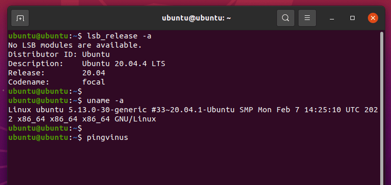 Ubuntu 20.04.4 LTS. Ядро Linux 5.13