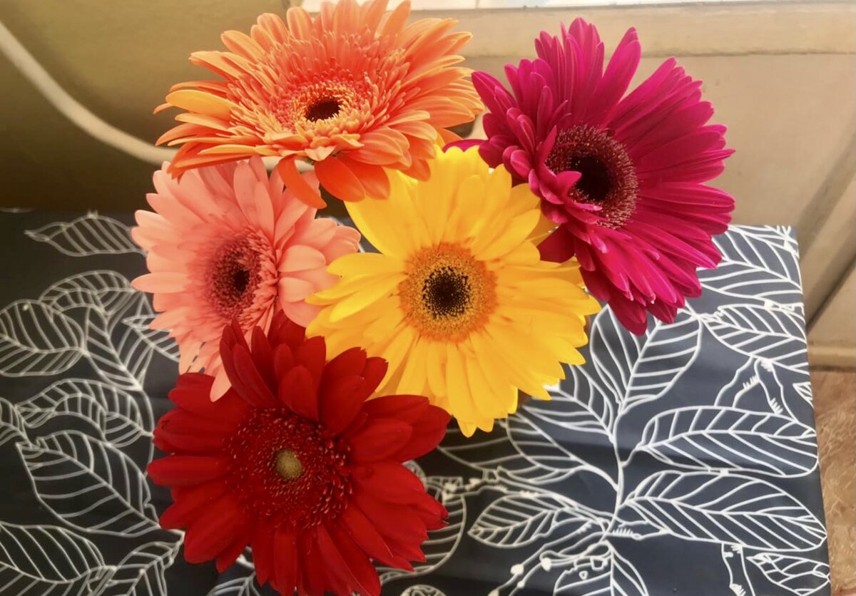 Можно не показывать сразу свои правила и принципы. Люди раскрываются не сразу 