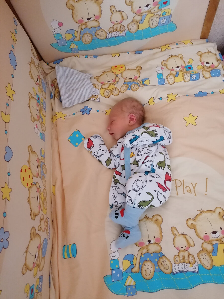 Приехали домой