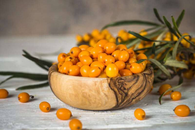 Как вырастить облепиху