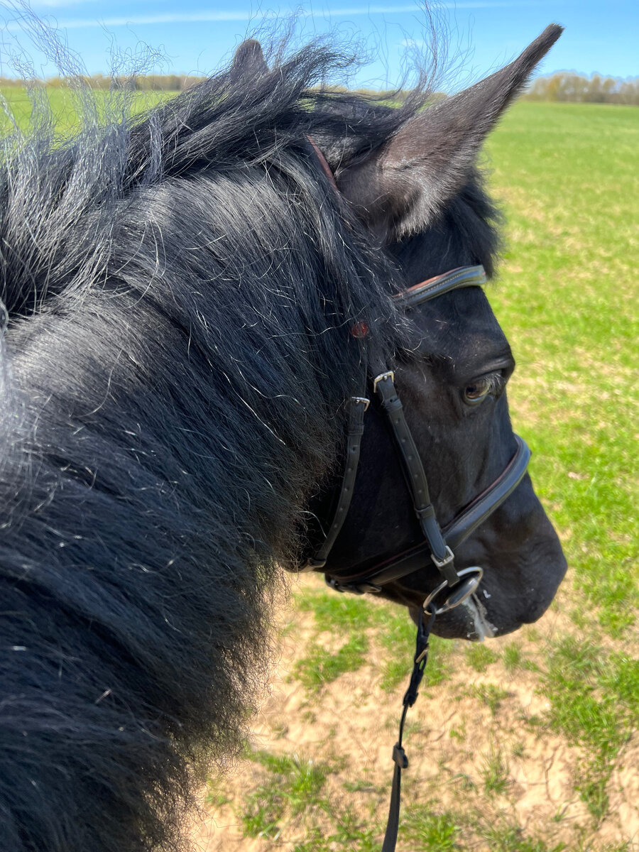 Вторая и третья фото в этой галерее не для слабонервных! Лучше не разглядывайте, если такие же впечатлительные, как автор этого блога.