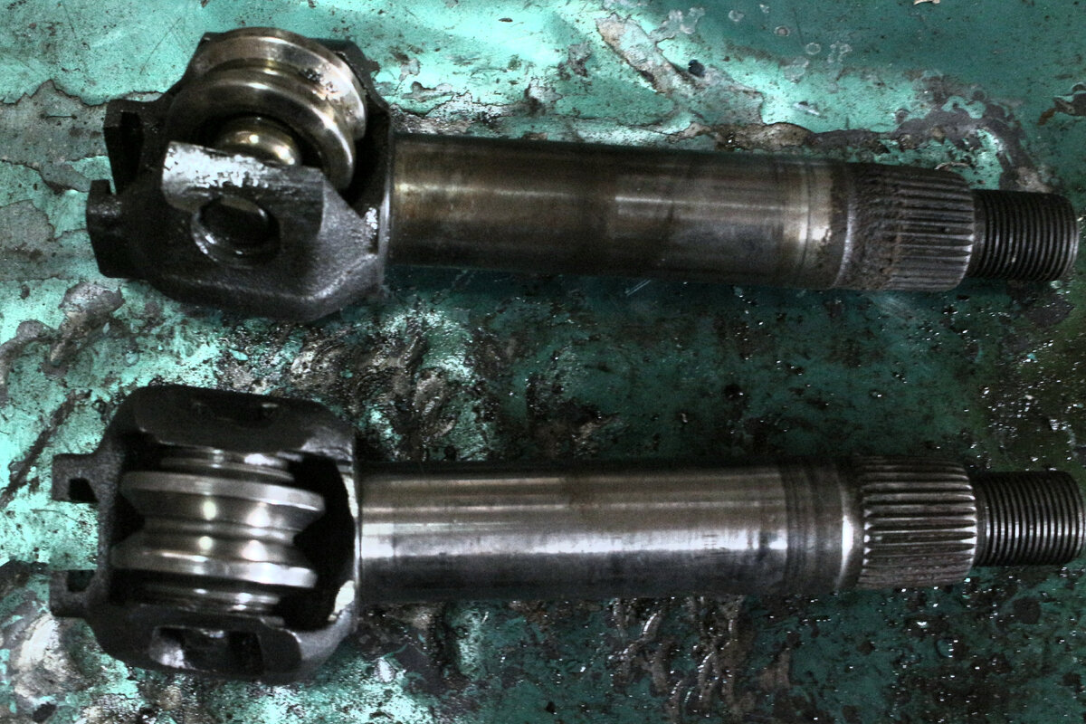 Фото автора