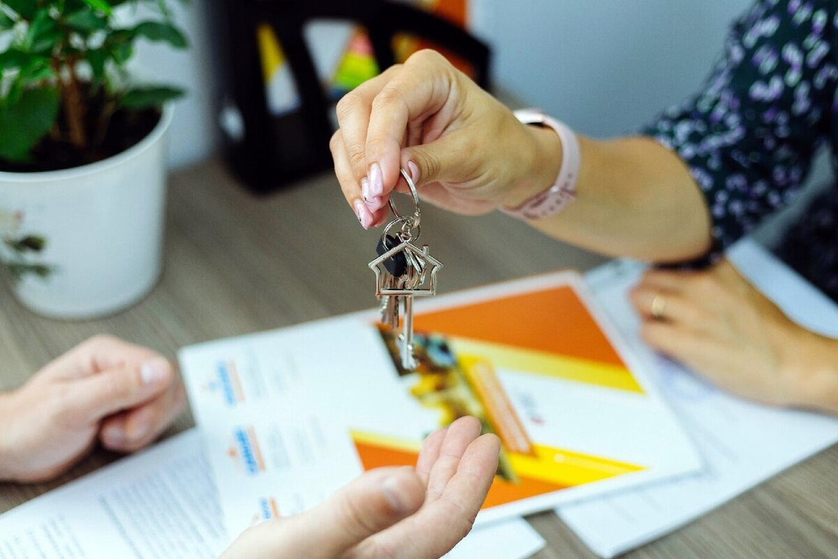 Картинка взята из открытого источника: https://cdn1.ozone.ru/s3/multimedia-z/6062095751.jpg