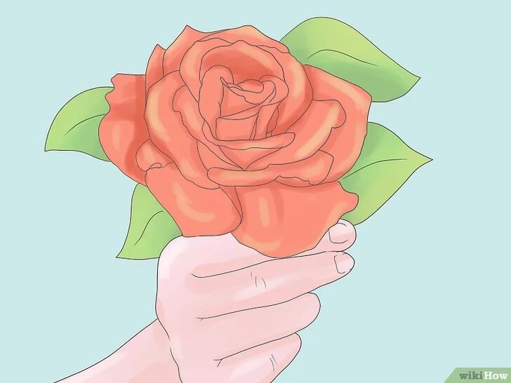 1Выберите сорт розы. Любой сорт розы будет прекрасным дополнением к вашему саду, но важно понять, какие розы будут расти лучше в вашем регионе, посмотрев в региональное руководство по розам. Также вы можете рассмотреть внешний вид роз и их размер. Вот некоторые из самых популярных и красивых сортов роз:Флорибунда. Это один из самых красочных видов роз. Они растут густыми кустами и обильно цветут, выбрасывая вместо одного цветка соцветия, на которых находится от трех до пятнадцати цветов. Эти кусты можно выращивать отдельно, но выглядят они наиболее эффектно, когда посажены рядами рядом друг с другом.
Чайно-гибридная. Это один из самых популярных сортов роз, которые растут как прямые кусты, и у них имеется один цветок на стебле. Это розы, которые наиболее часто встречаются в цветочном магазине.
Крупноцветковая. Этот красивый сорт розы является смесью флорибунды и чайно-гибридной розы. Она растет до 1.8 метров в высоту и выбрасывает классические чайно-гибридные соцветия.
Кустарниковые и ландшафтные розы. Эти розы бывают различных форм и размеров и подходят для любого пейзажа. Растут они близко к земле, являются устойчивыми к болезням и требуют меньше внимания, чем другие, хотя выбрасывают цветы в течении длительного времени.
Вьющиеся розы. Эти розы сделают особенным любой сад, они обычно растут на заборе или сетке. У них длинные, дугообразные стебли, на которых много цветов, и которые могут обвить столбы, стены, или любую другую опору.
Миниатюрные розы. Это - самые маленькие из роз, они могут расти от 15 до 50 сантиметров в высоту. Эти розы цветут постоянно и прекрасно подходят для контейнерного озеленения, бордюров и выращивания на небольшом участке.
Розы-деревья. Эти розы имеют выносливую корневую систему к которому привит длинный ствол, к которому, в свою очередь, привит куст розы на самой вершине. Роза-дерево визуально великолепна, но о ней нужно больше заботиться, чтобы она перезимовала.
