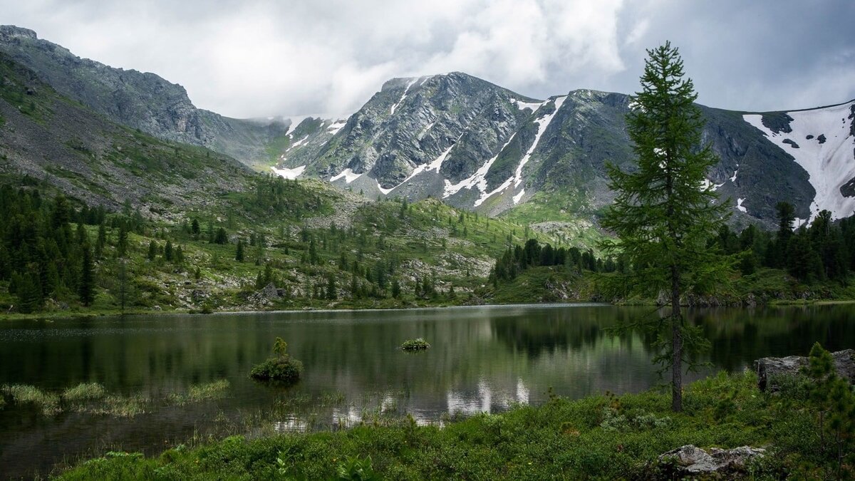 Источник: Яндекс картинки