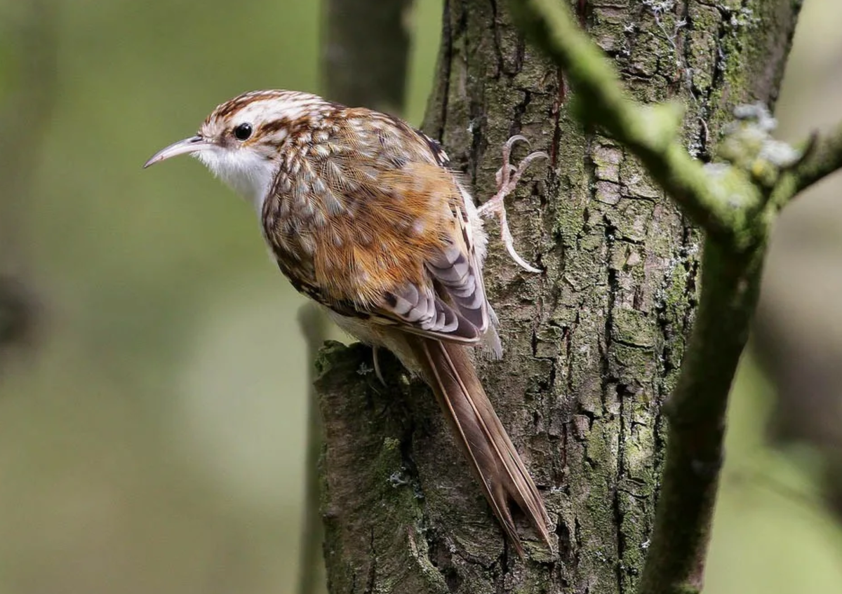 Фото Яндекс.Картинки