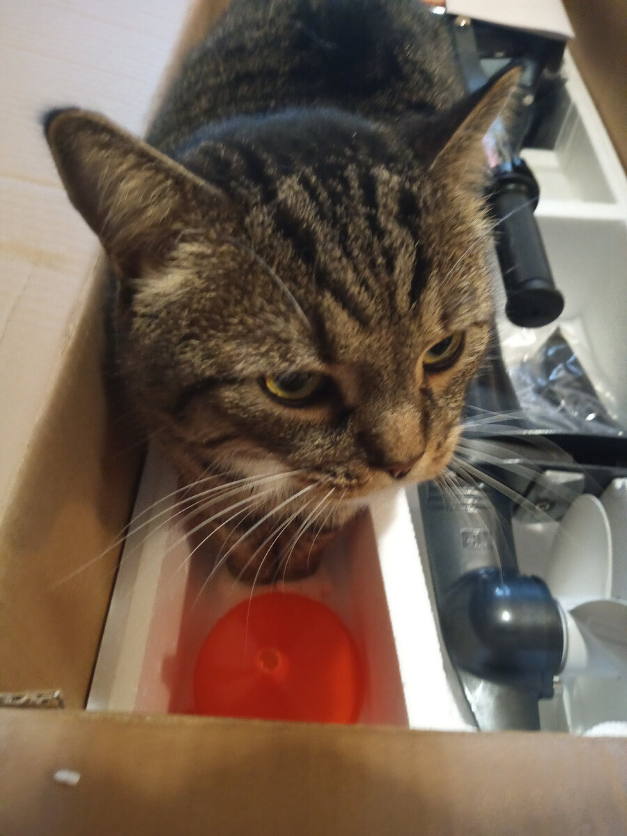 Мотор ещё в коробке. Воронка, которую я забыл. Красненькая, ниже кота.