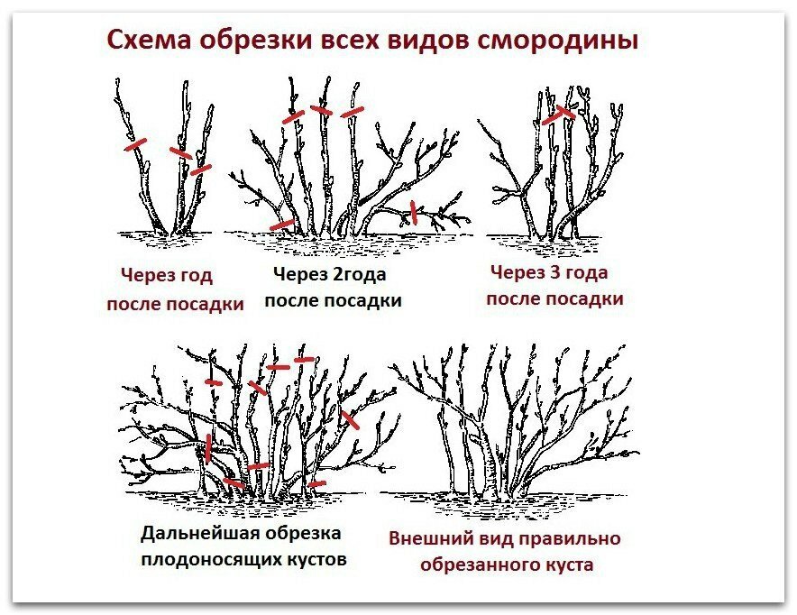 https://avatars.dzeninfra.ru