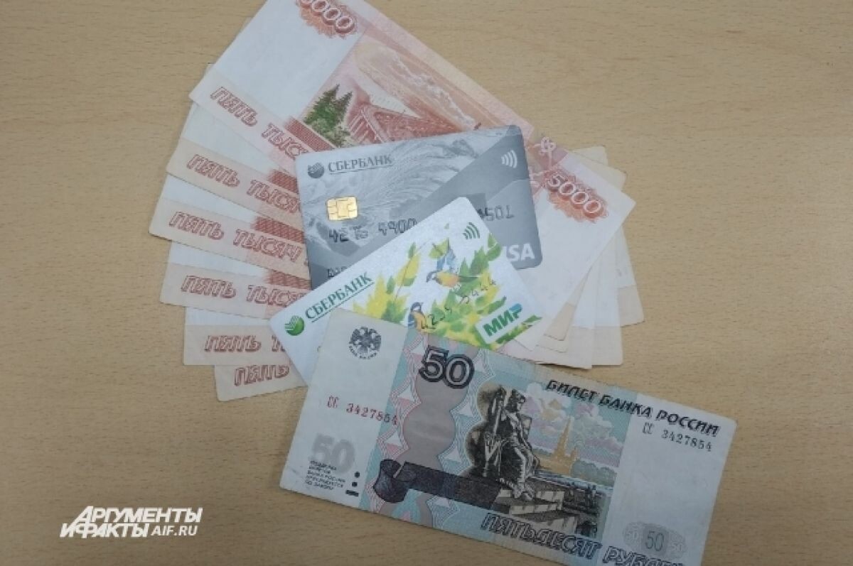    В Совфеде рассказали о соцвыплатах гражданам новых субъектов