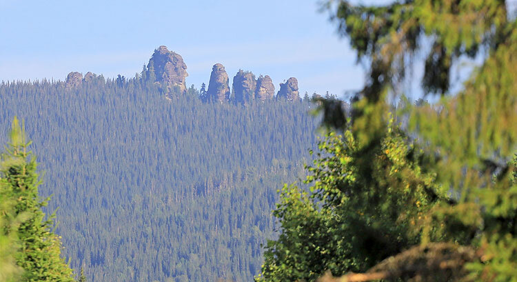 Фото из открытых источников.