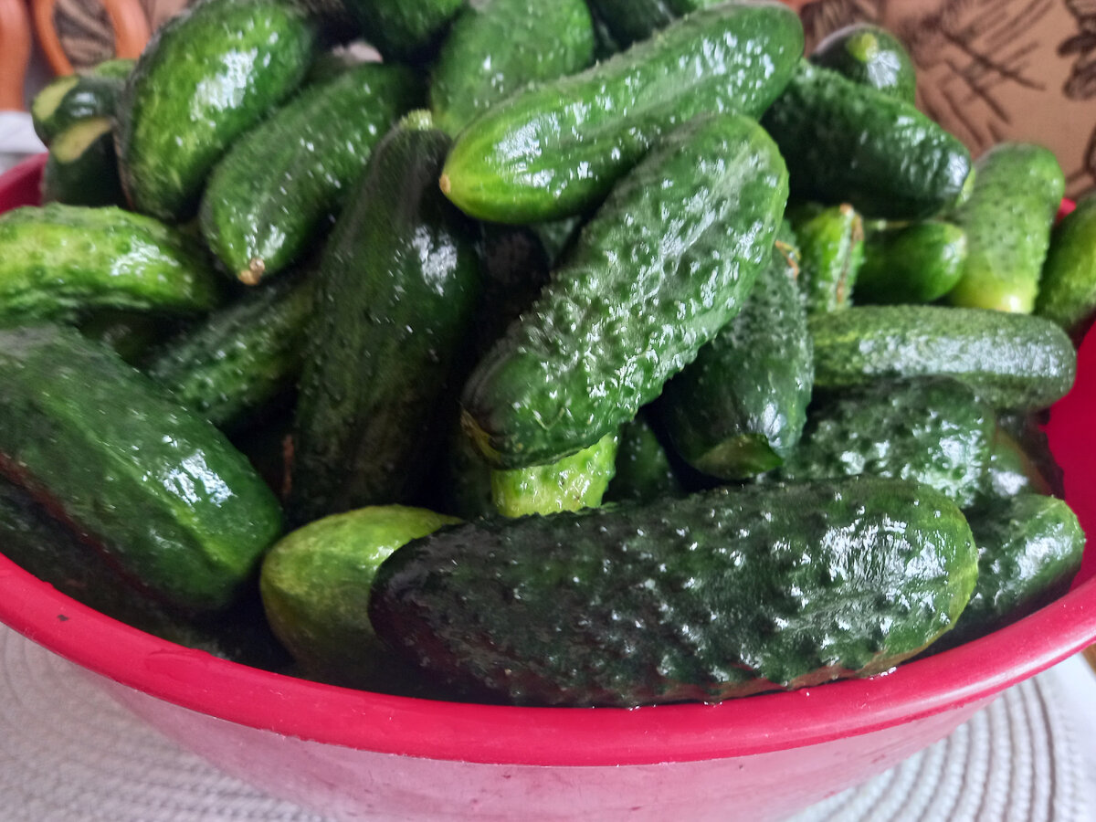 Огурцы для рассольника.