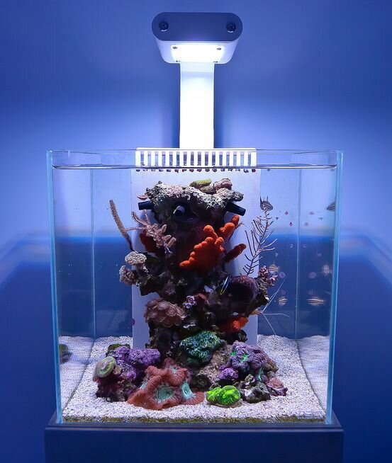 Аквариум Nano Reef