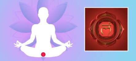 Название этой чакры на санскрите – Муладхара – состоит из слов «корень» и «поддержка».