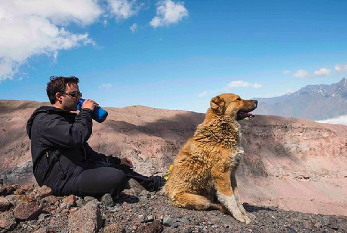 Ваня Дементиевский снял как мы с собакой смотрим в направлении курицы.