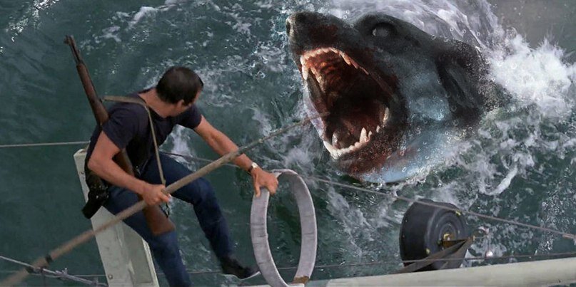 Фото: ©Reddit.com