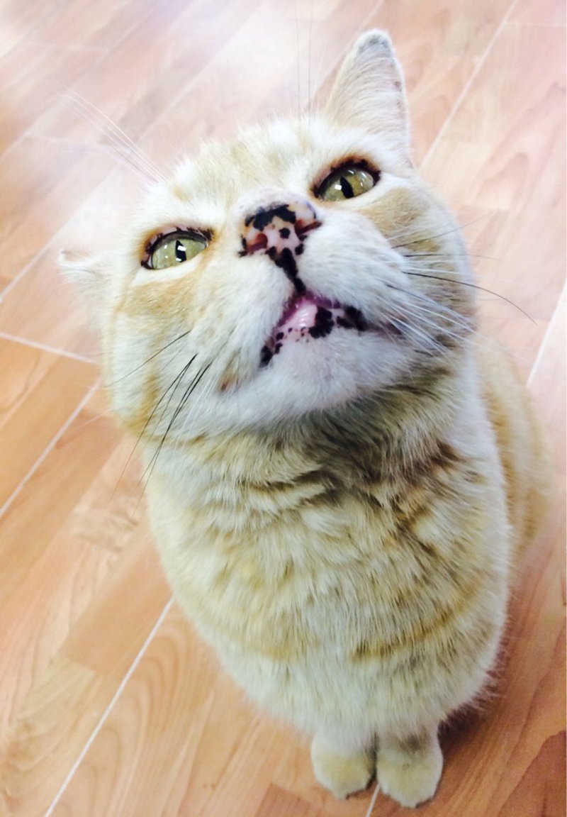  Источник: static.boredpanda.com