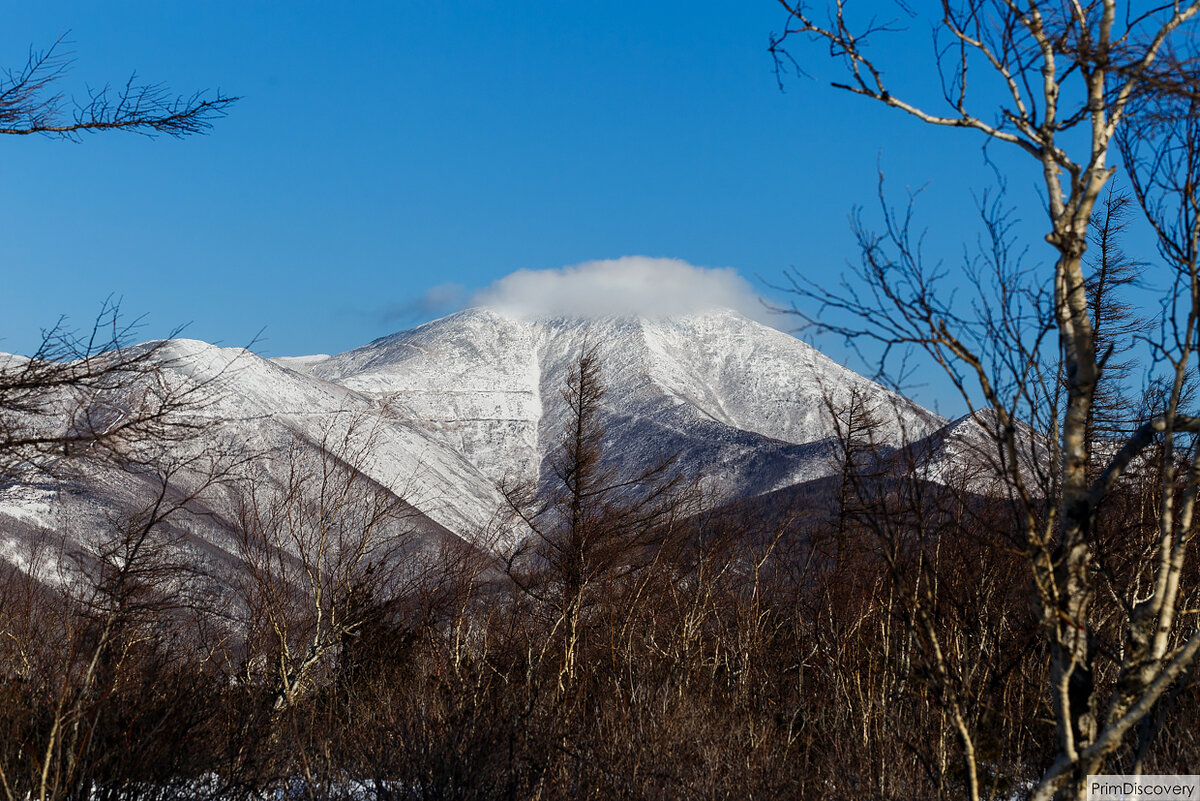 Петропавловск-камчатский ключевская сопка. Сопки мурманск. Сопка зимой. Сопка зимой. Зимние сопки камчатки.