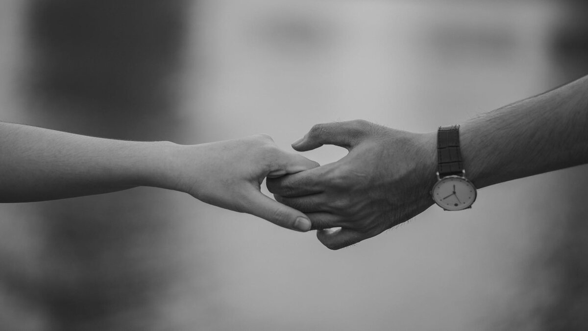 Источник фото: pexels.com