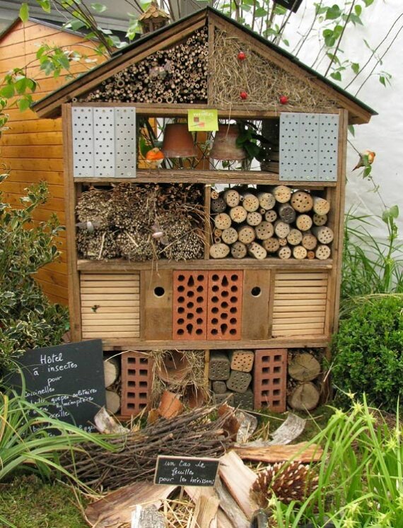 (фото предоставлено сайтом https://rodovid.me/permaculture/)  
