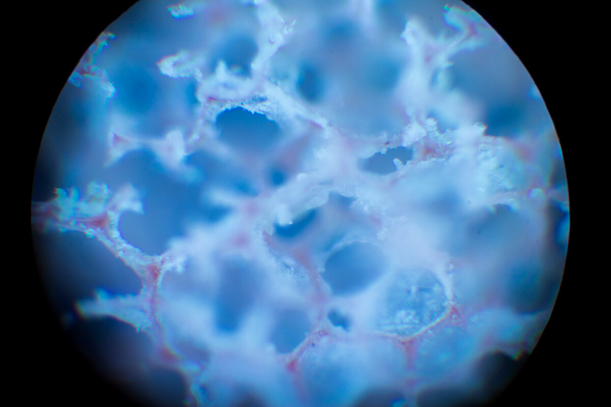 Фото №1. Губка для мытья посуды