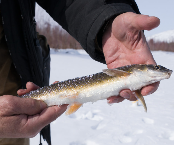 Валек. Фото с сайта ФотоКто