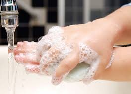 источник фото:pxhere.com