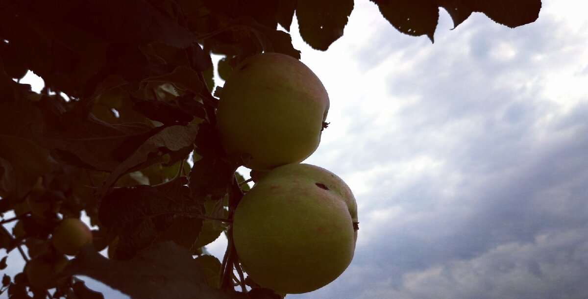  автор фото: В начале было слово