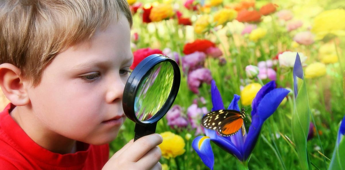 картинка из Яндекса