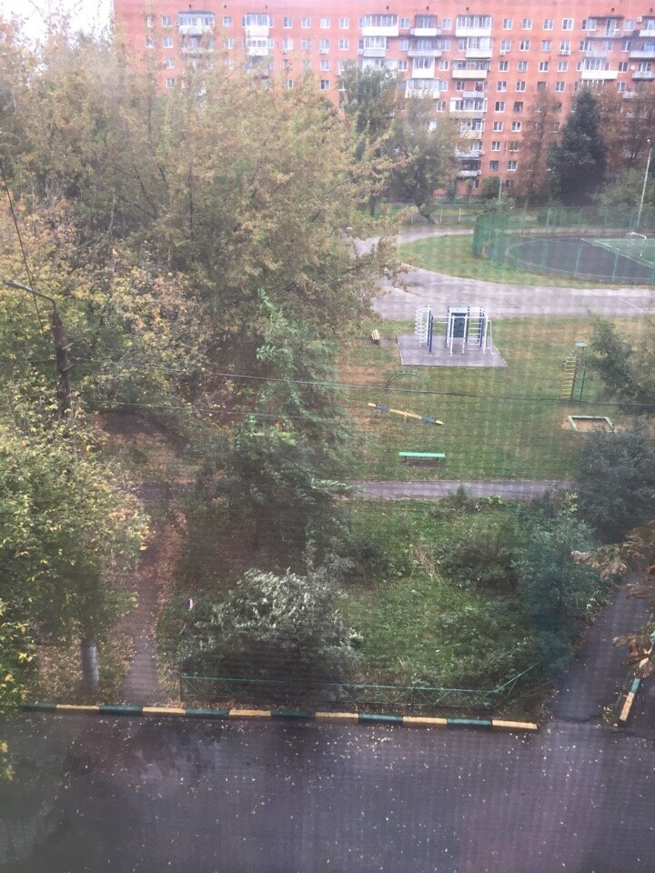 А из нашего окна...осень хмурая видна
