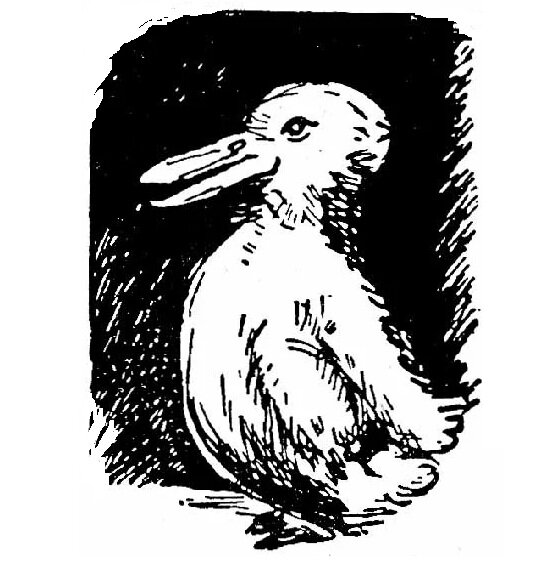 Позднее появилось множество вариантов и подражаний этой иллюзии.