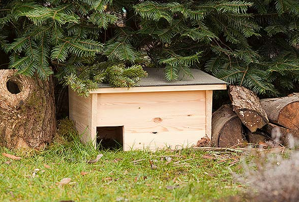 Примерно такой домик