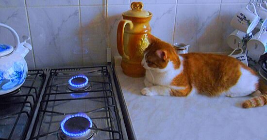 Автор фото Краснова О. 