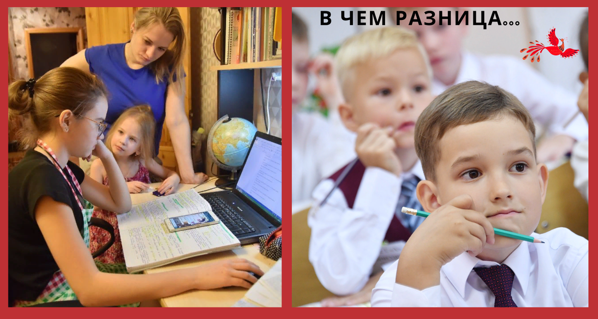 Яндекс картинки