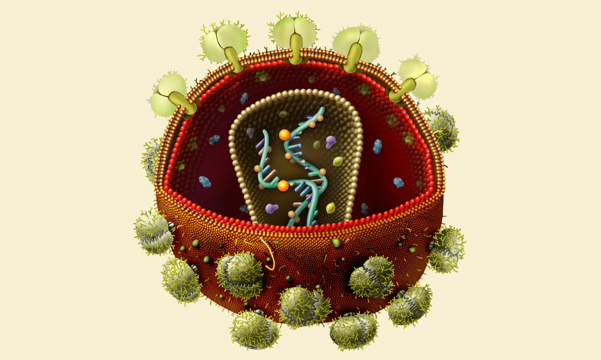 Добавьте описание