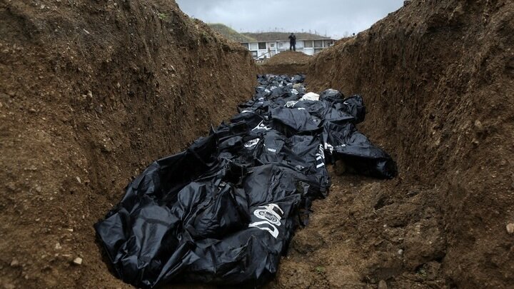 ФОТО: YMPHOTOS / SHUTTERSTOCK.COM 