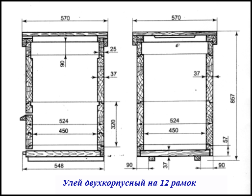 Информация для пчеловодов: чертежи ульев, тонкости и секреты пчеловодства от riderpark-tour.ru