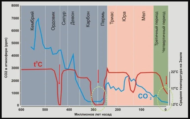 График концентрации СО2 и средней температуры за последние 600 миллионов лет. Как видно, на протяжении всего периода массового биоразнообразия концентрация СО2, как и средняя температура, была значительно выше сегодняшнего уровня. Например, в Юрском периоде достигают расцвета такие группы животных, как динозавры, ихтиозавры, птерозавры и плезиозавры. В тот период концентрация СО2 колебалась от 1500 до 3000 ppm.  