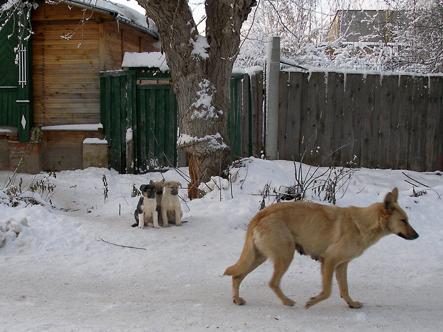 Мама, ты куда пошла? 