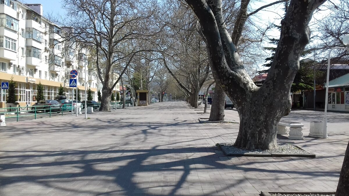 В центре города платановая аллея