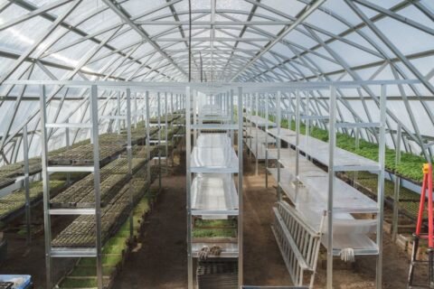  На фото металлические стеллажи, предназначенные для выращивания зелени.