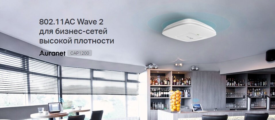 CAP1200 предназначена для использования в бизнес-сетях с большим числом пользователей