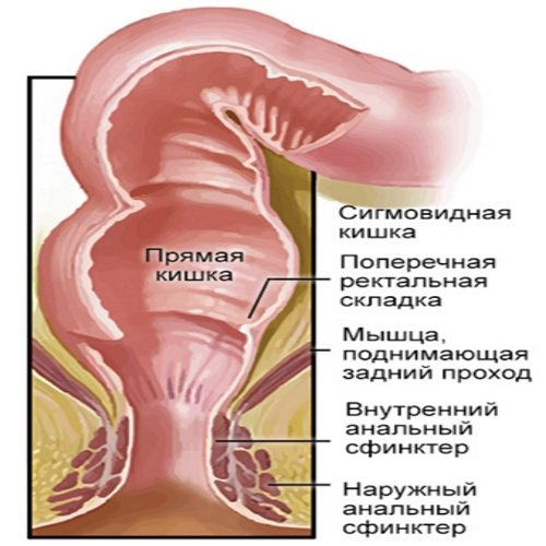 Семь мифов об анальном сексе