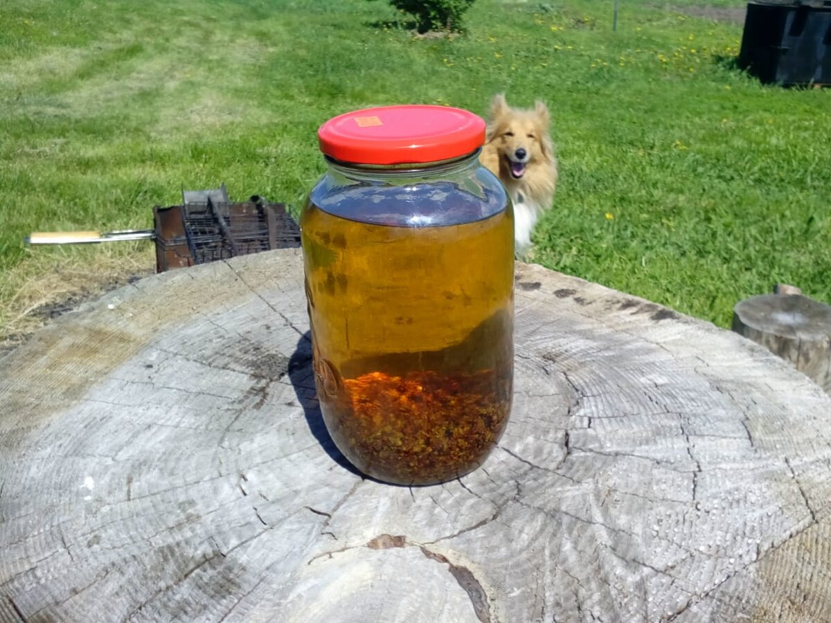  самогон на почках через месяц выдержки