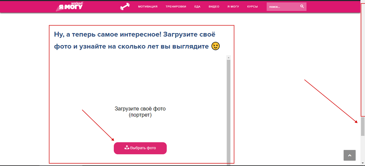 Скажите, сколько собак вы увидели на картинке, и узнайте свой умственный возраст — ТЕСТ