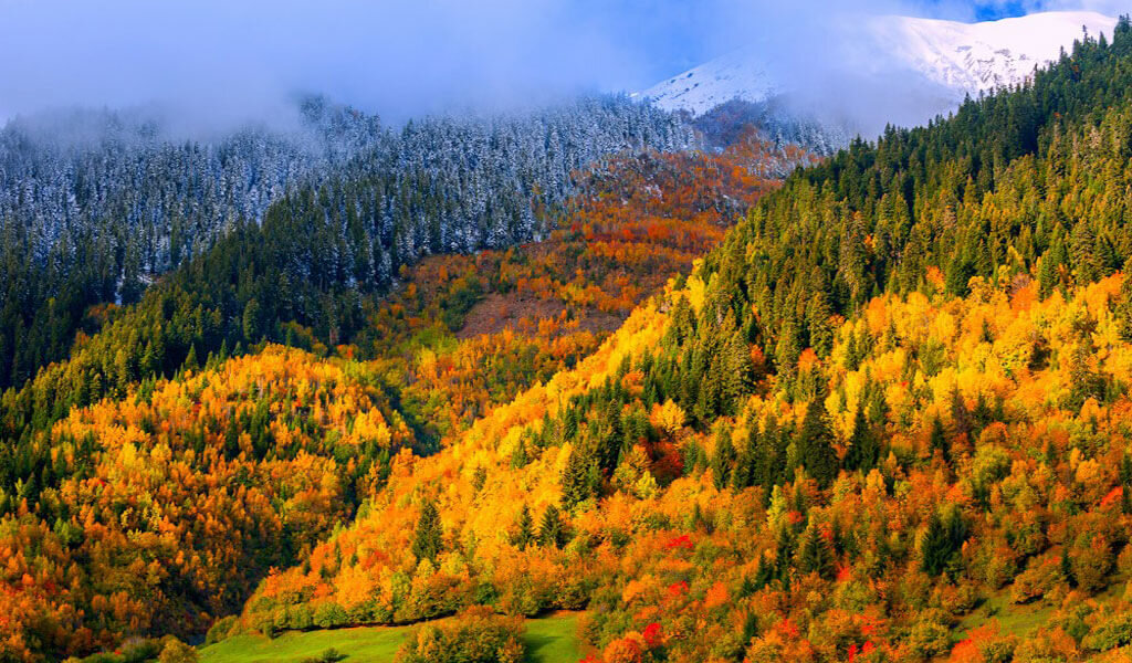 Осень в Боржоми